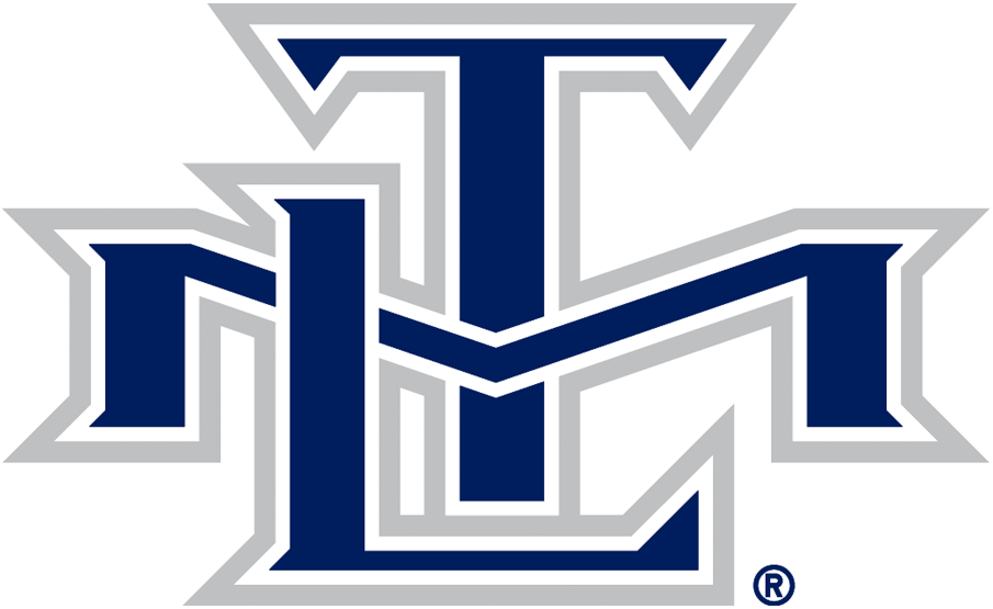 Toronto Maple Leafs 2000-2007 Alternate Logo iron on transfers for clothing